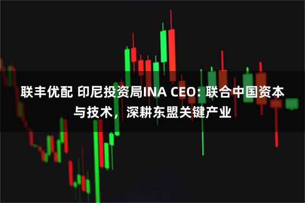 联丰优配 印尼投资局INA CEO: 联合中国资本与技术，深耕东盟关键产业