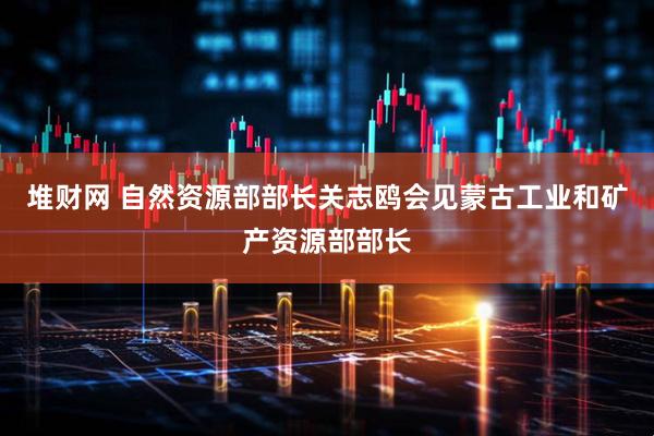 堆财网 自然资源部部长关志鸥会见蒙古工业和矿产资源部部长