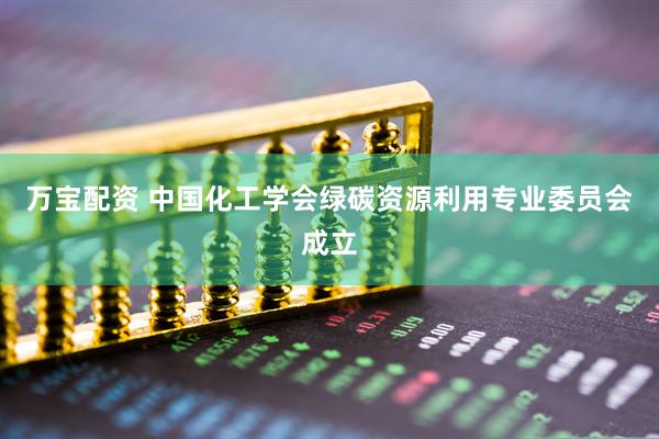 万宝配资 中国化工学会绿碳资源利用专业委员会成立