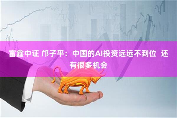 富鑫中证 邝子平：中国的AI投资远远不到位  还有很多机会