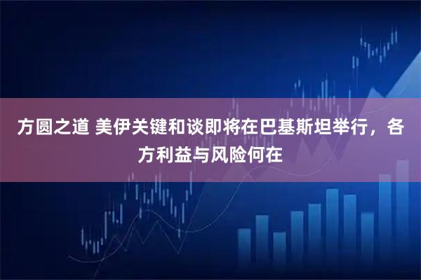 方圆之道 美伊关键和谈即将在巴基斯坦举行，各方利益与风险何在