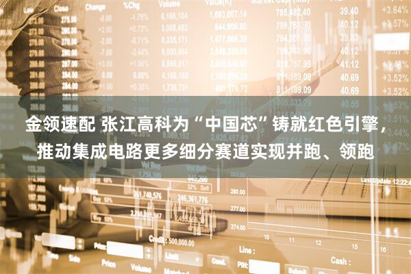 金领速配 张江高科为“中国芯”铸就红色引擎,推动集成电路更多细分赛道实现并跑、领跑