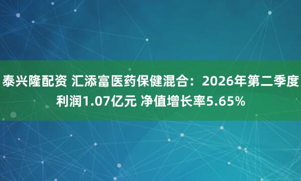 泰兴隆配资 汇添富医药保健混合：2026年第二季度利润1.07亿元 净值增长率5.65%