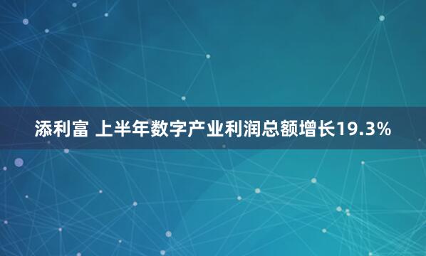 添利富 上半年数字产业利润总额增长19.3%